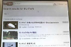 タンチョウ日記8の画像5