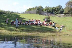 タンチョウ日記8の画像15