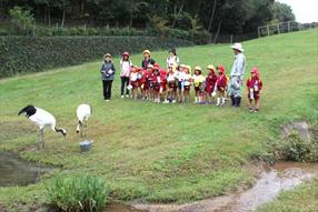 タンチョウ日記8の画像17