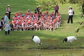 タンチョウ日記8の画像18