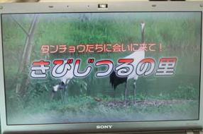 タンチョウ日記8の画像20