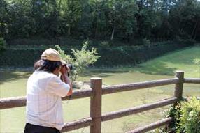 タンチョウ日記8の画像23