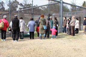 タンチョウ日記09の画像1