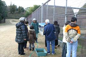 以前の1月のタンチョウ観察会の様子の画像