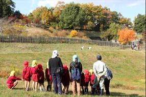 タンチョウ日記09の画像6