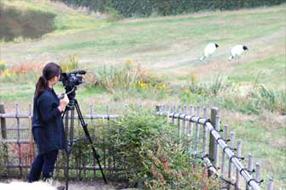 タンチョウ日記09の画像8