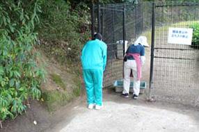  タンチョウ日記09の画像12