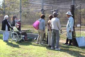  タンチョウ日記09の画像13