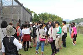  タンチョウ日記09の画像15