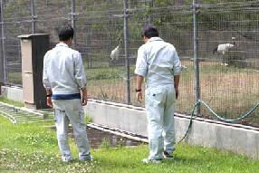 センター（右側）と蒜山（左側）の新人さんです​の画像