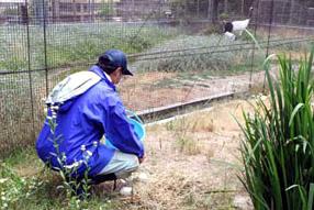 この青鬼さんは、モミジの体を守るため、いい事をしているのですの画像