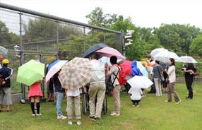 タンチョウ日記09の画像27