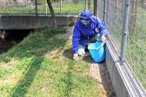 タンチョウ日記09の画像29