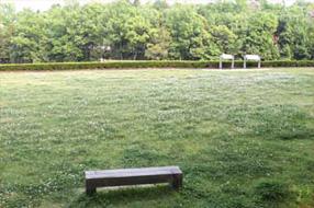 タンチョウ日記09の画像31