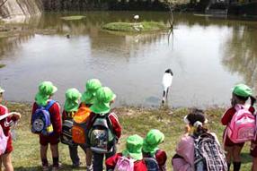 タンチョウ日記09の画像39