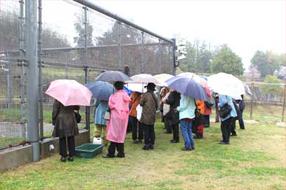 タンチョウ日記09の画像41