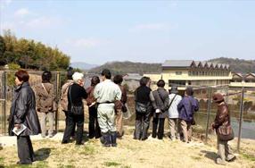 タンチョウ日記09の画像45