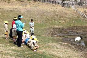 タンチョウ日記09の画像47