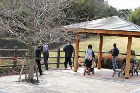 タンチョウ日記09の画像48