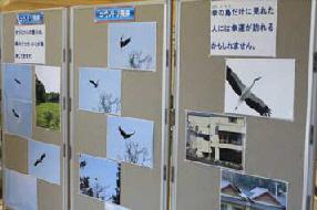 タンチョウ日記09の画像55