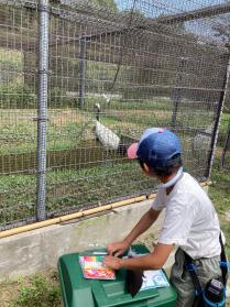 タンチョウの観察会の画像2