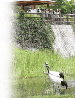 からきびじつるの里とはの画像2