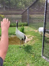 からきびじつるの里とはの画像4