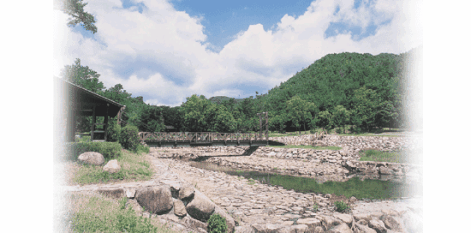 砂川公園の画像