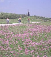 備中国分寺周辺でサイクリング