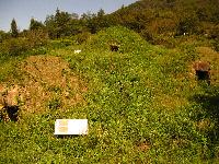 その他注意事項の画像3