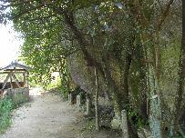 その他注意事項の画像6