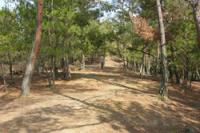 宮山古墳群の画像