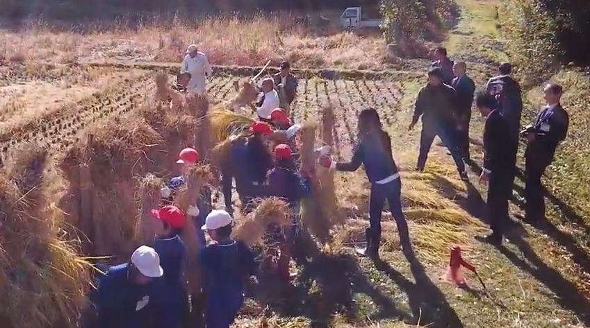 クラウドファンディングによる赤米PR動画が完成の画像3