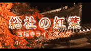 13総社の紅葉 宝福寺ライトアップ(2:26)の画像