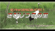 2きびじつるの里の画像
