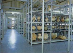 開架展示室の写真