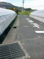 グレーチング蓋盗難の例の画像1