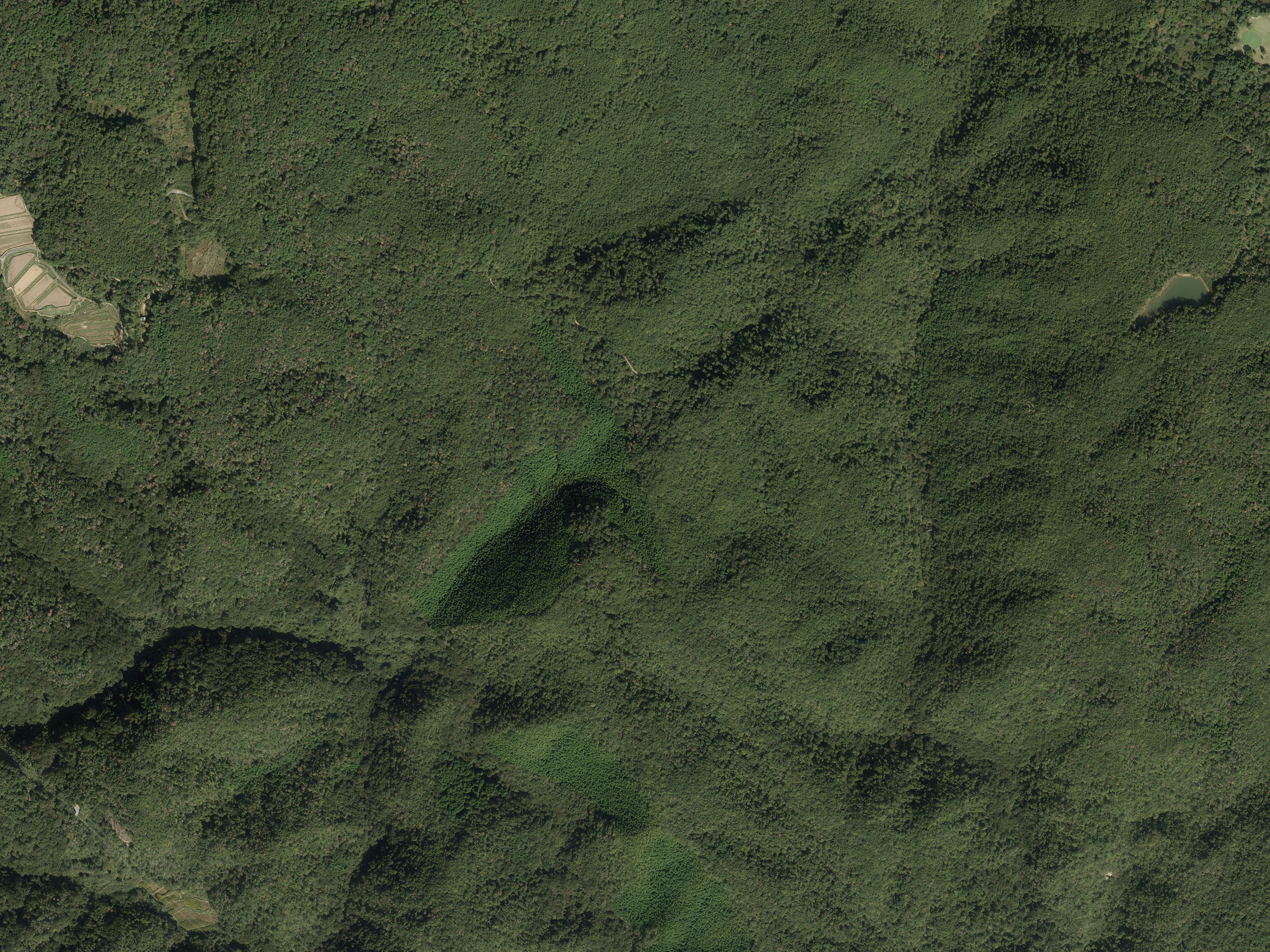 航空写真02の画像