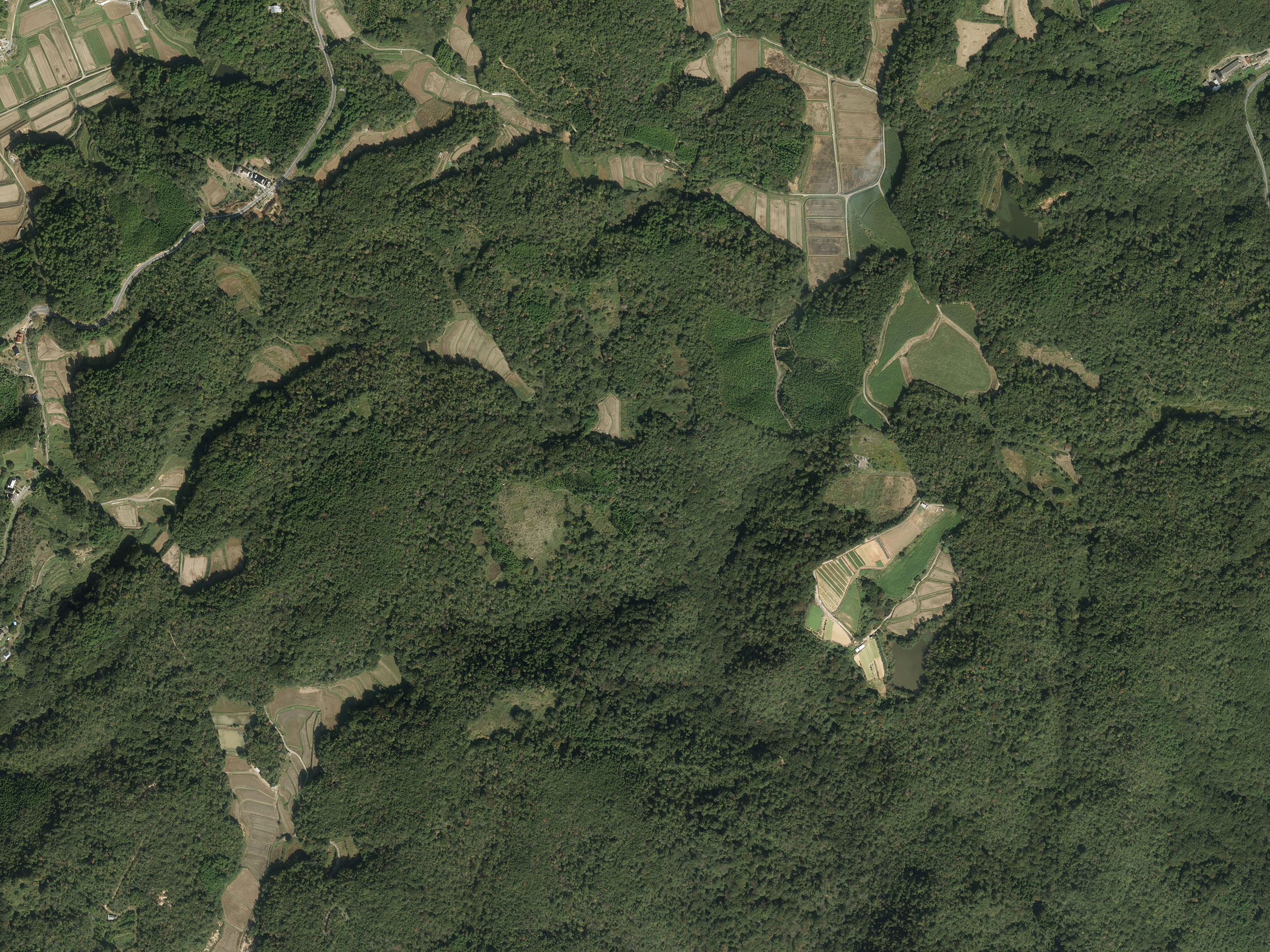 航空写真03の画像