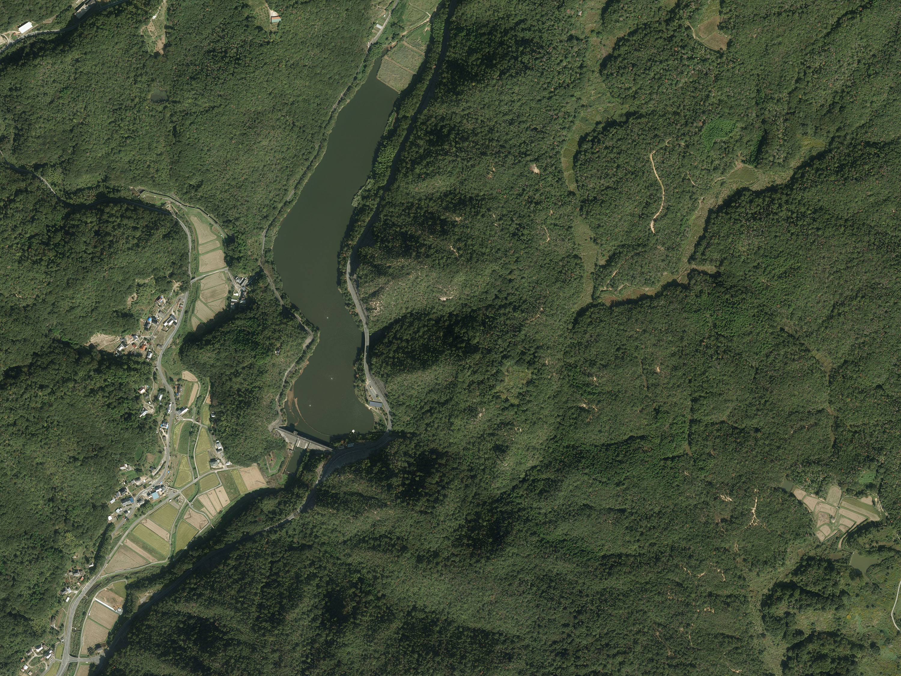 航空写真04の画像