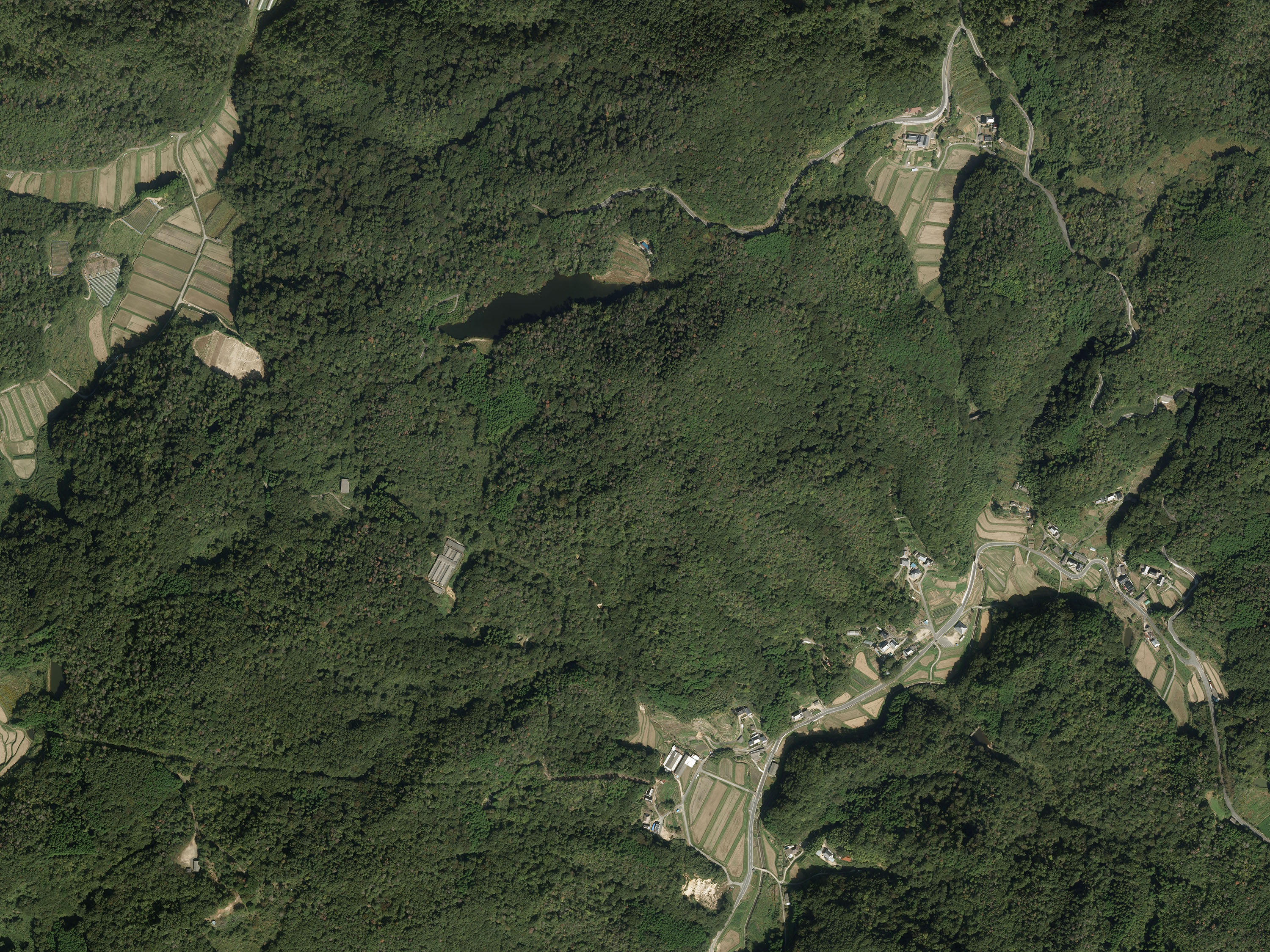 航空写真06の画像