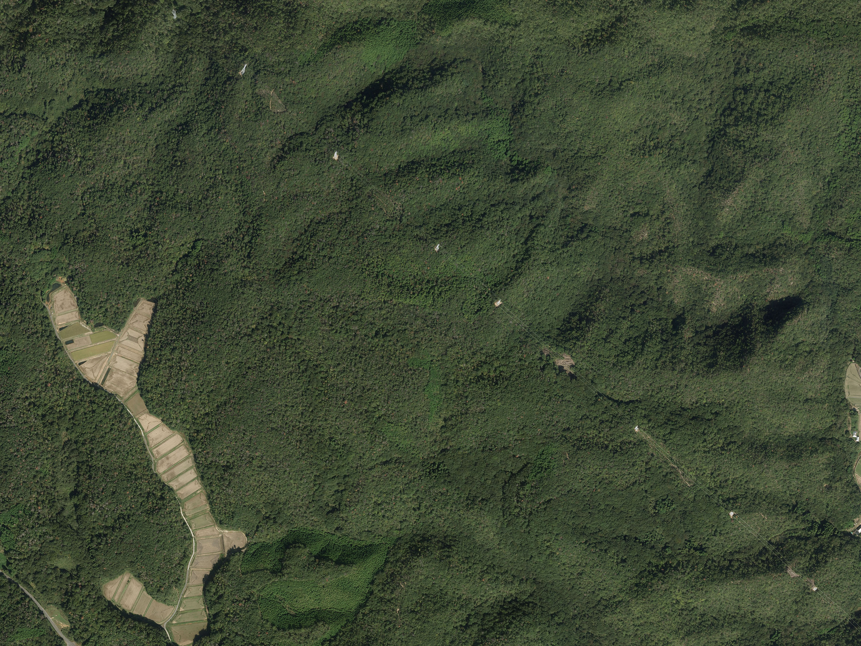 航空写真07の画像