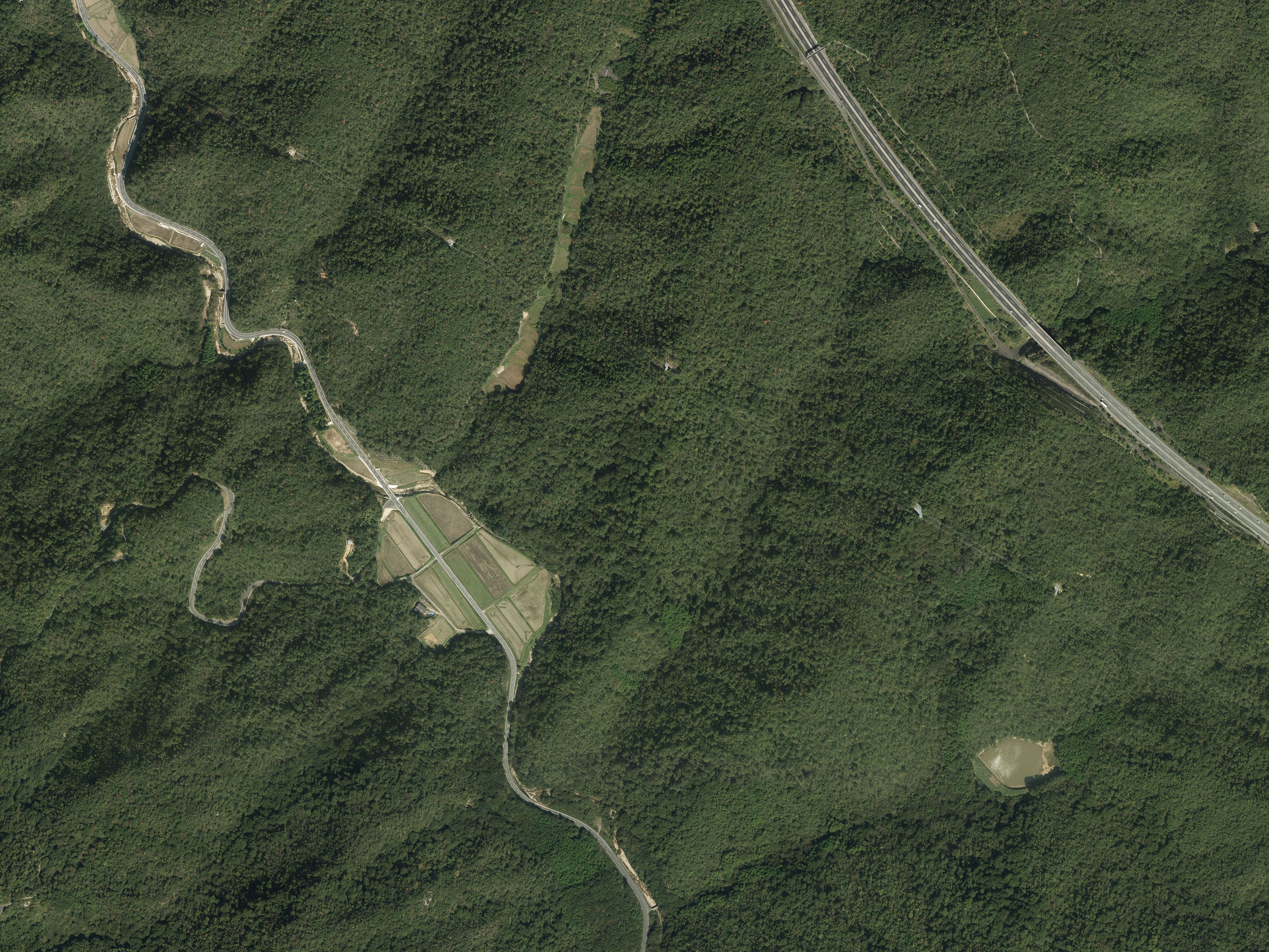 航空写真15の画像