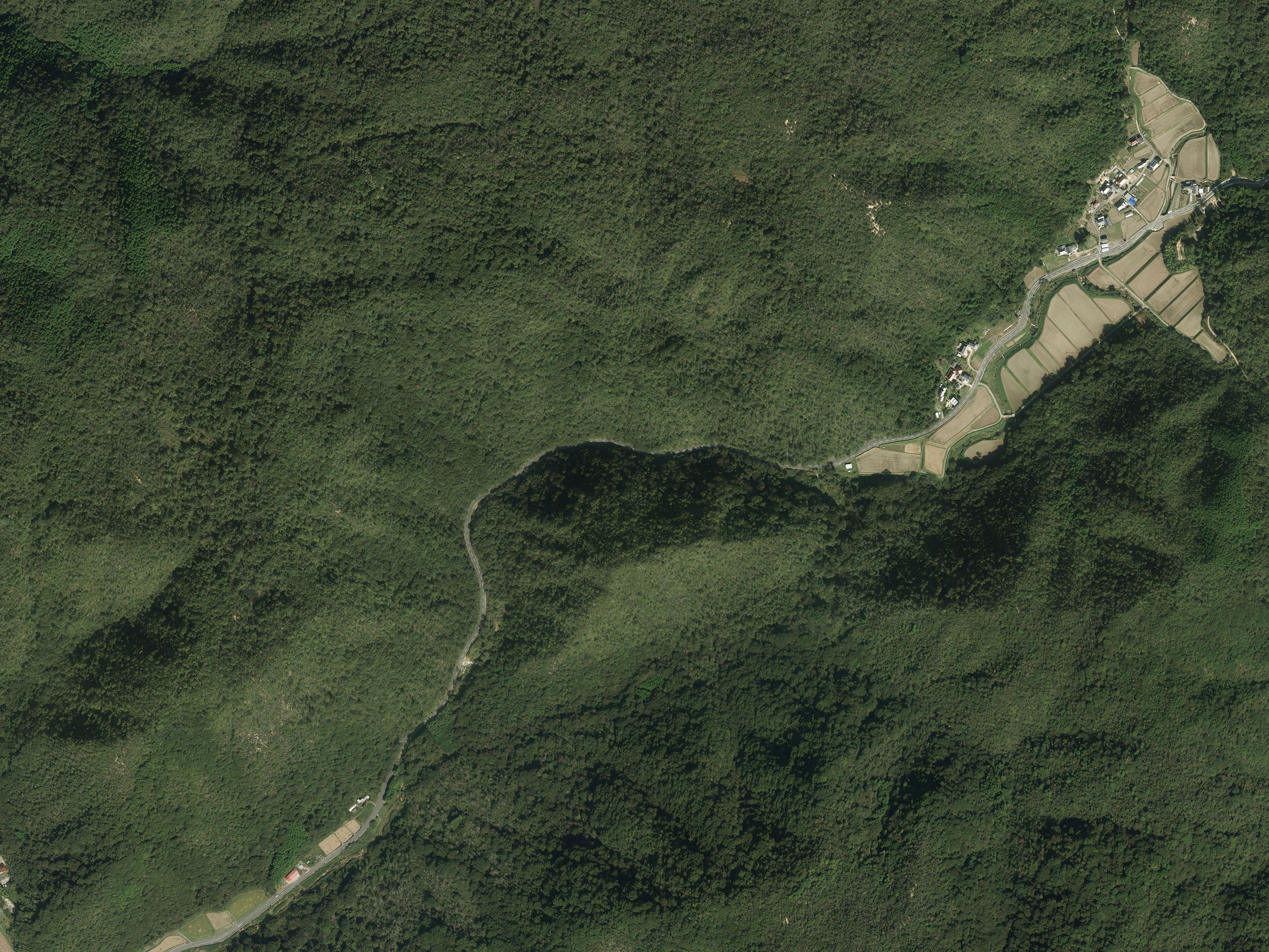 航空写真17の画像