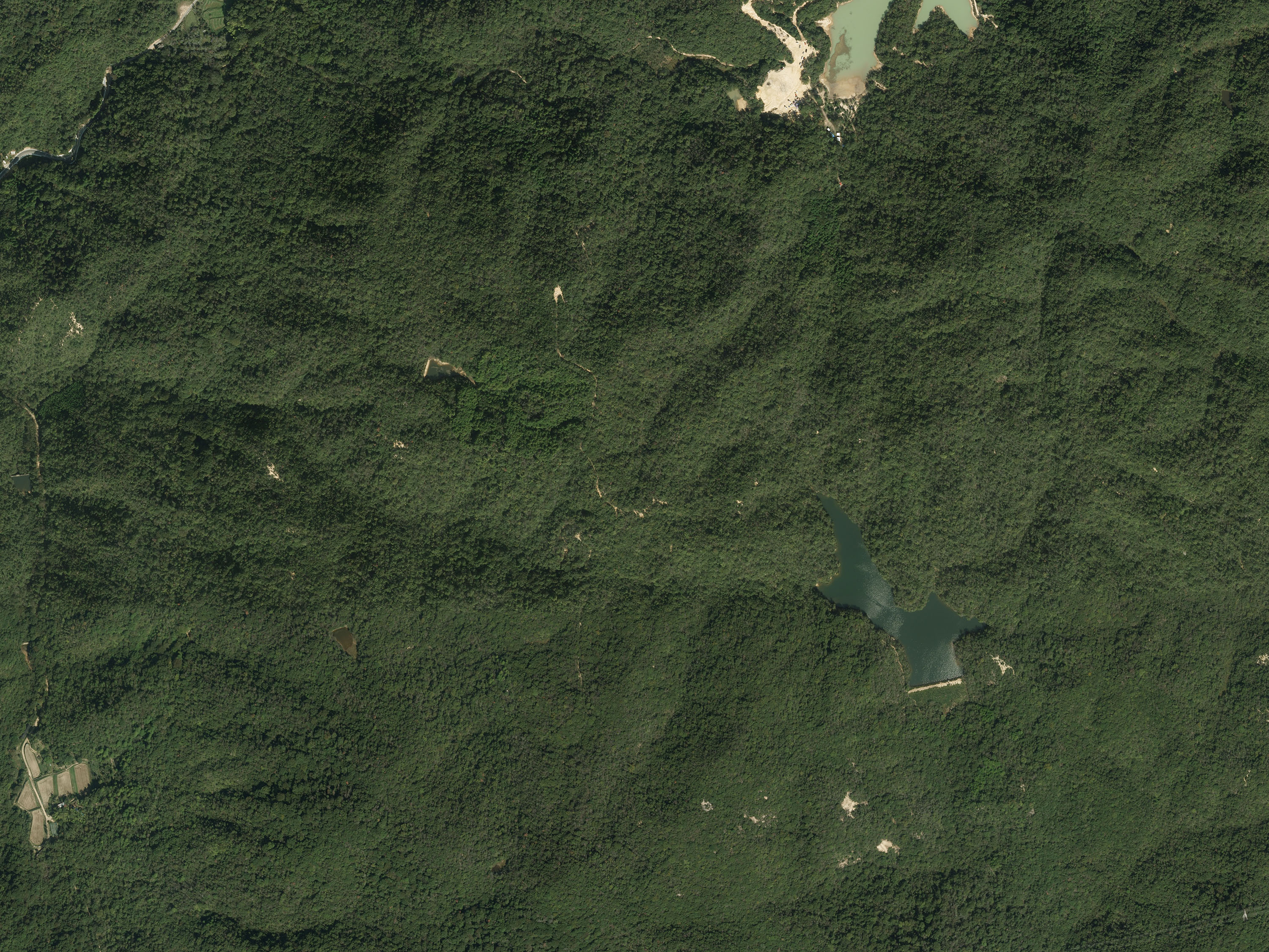 航空写真18の画像