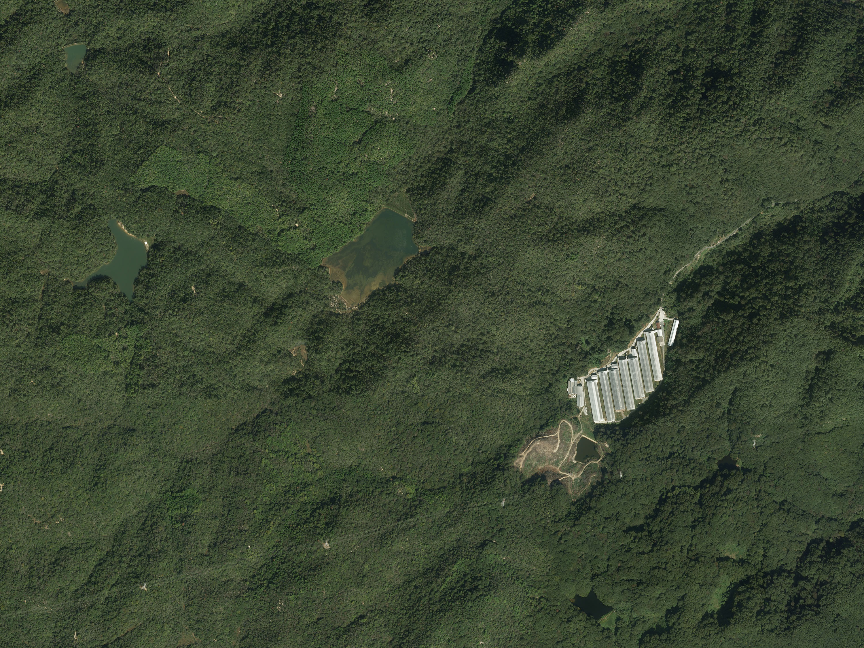 航空写真19の画像