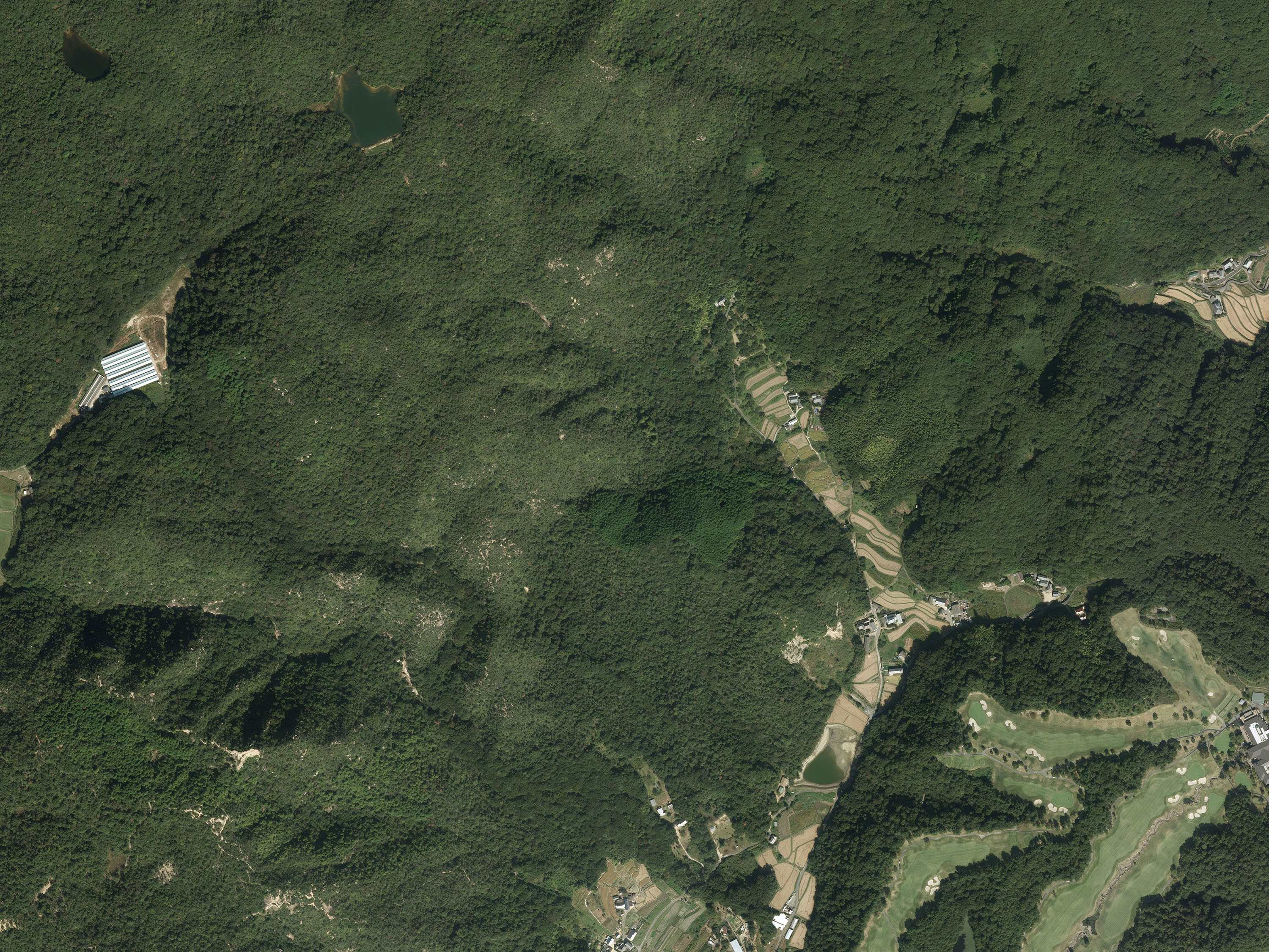 航空写真28の画像