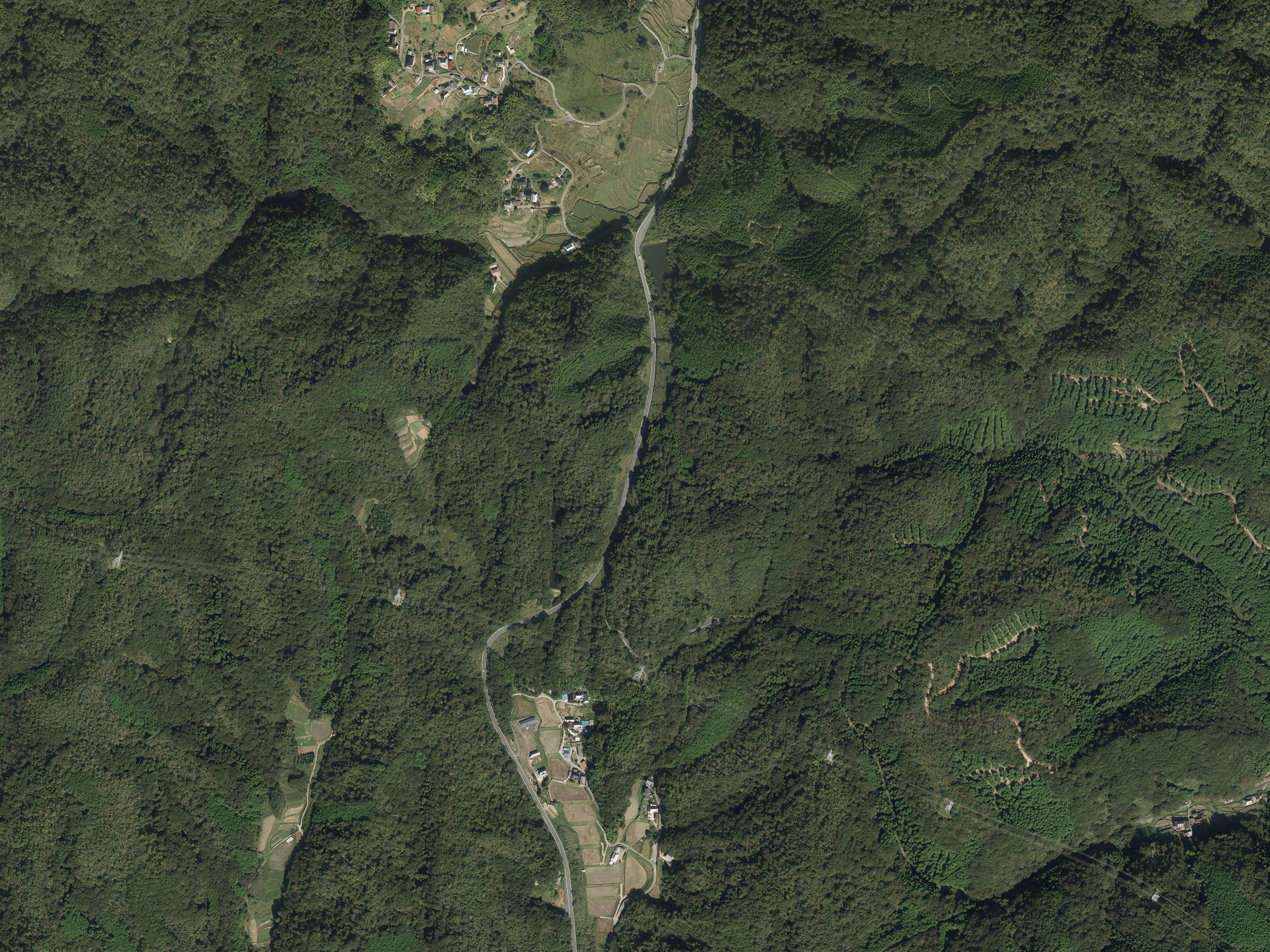 航空写真30の画像