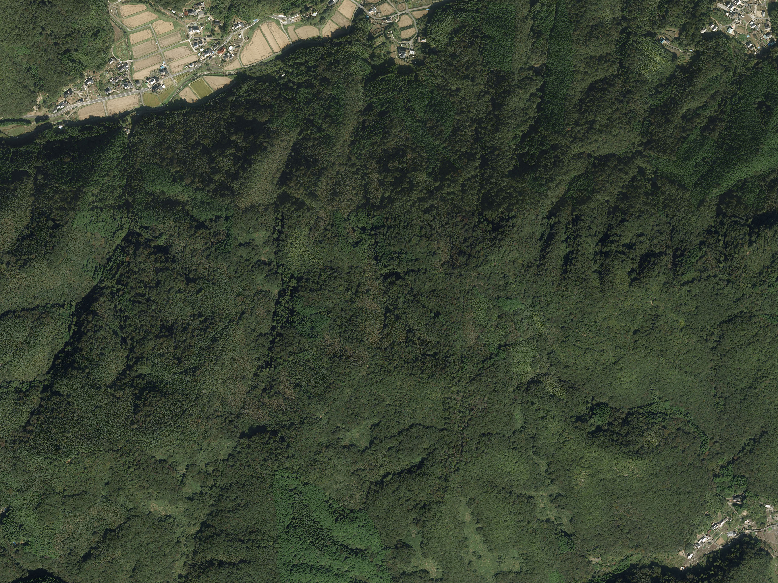 航空写真32の画像