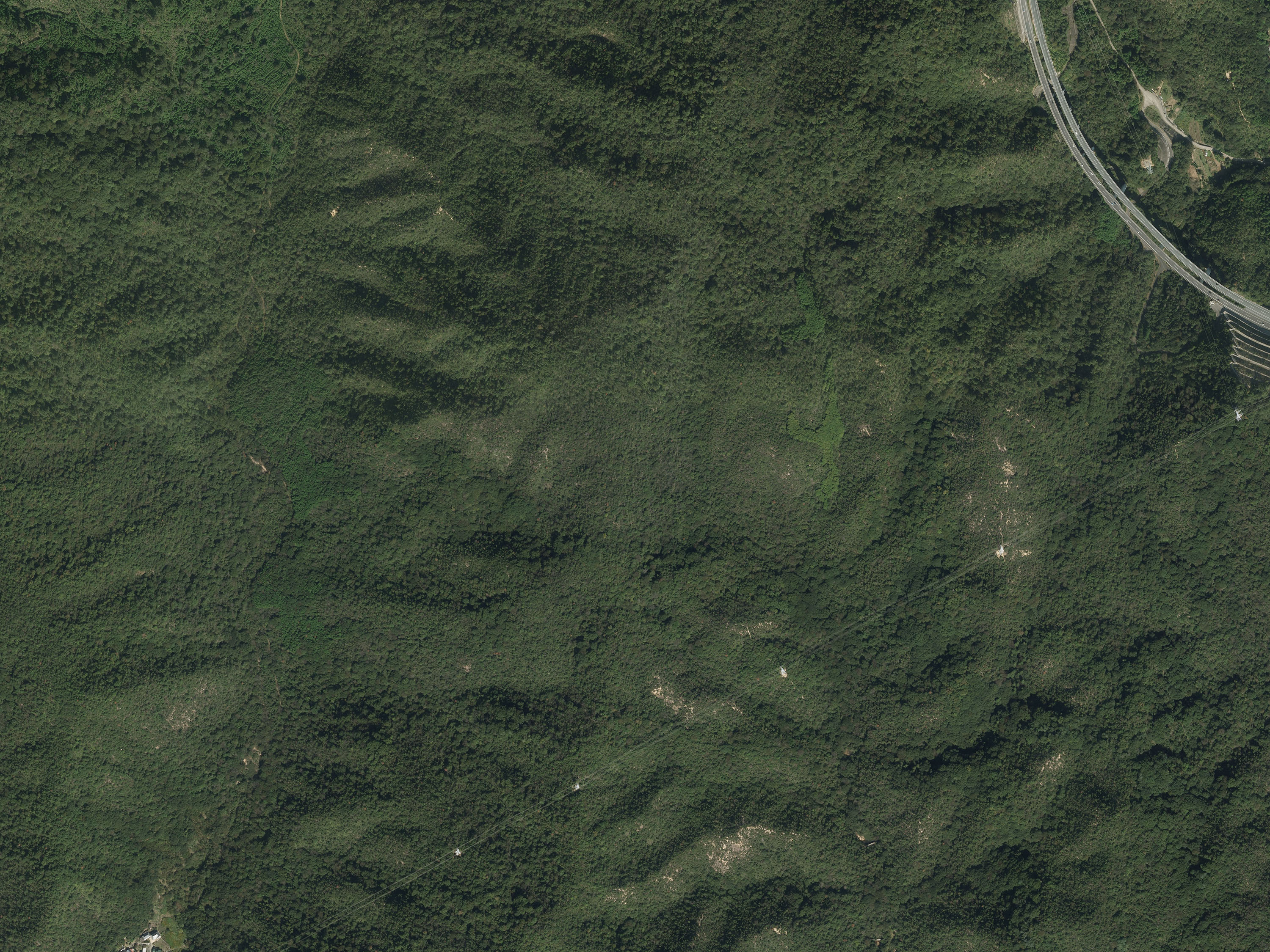 航空写真36の画像